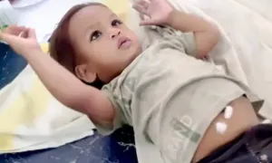 Bé một tuổi cắn chết rắn hổ mang Bé một tuổi cắn chết rắn hổ mang