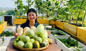 'Trang trại' trên sân thượng của cô gái Đồng Nai