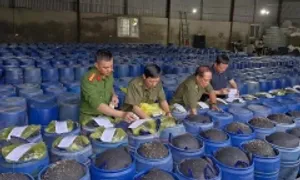 Lĩnh 2 năm tù vì ngâm hóa chất làm giá đỗ 'to, mập'