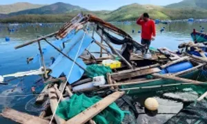 'Thủ phủ' tôm hùm tan hoang sau bão Kalmaegi